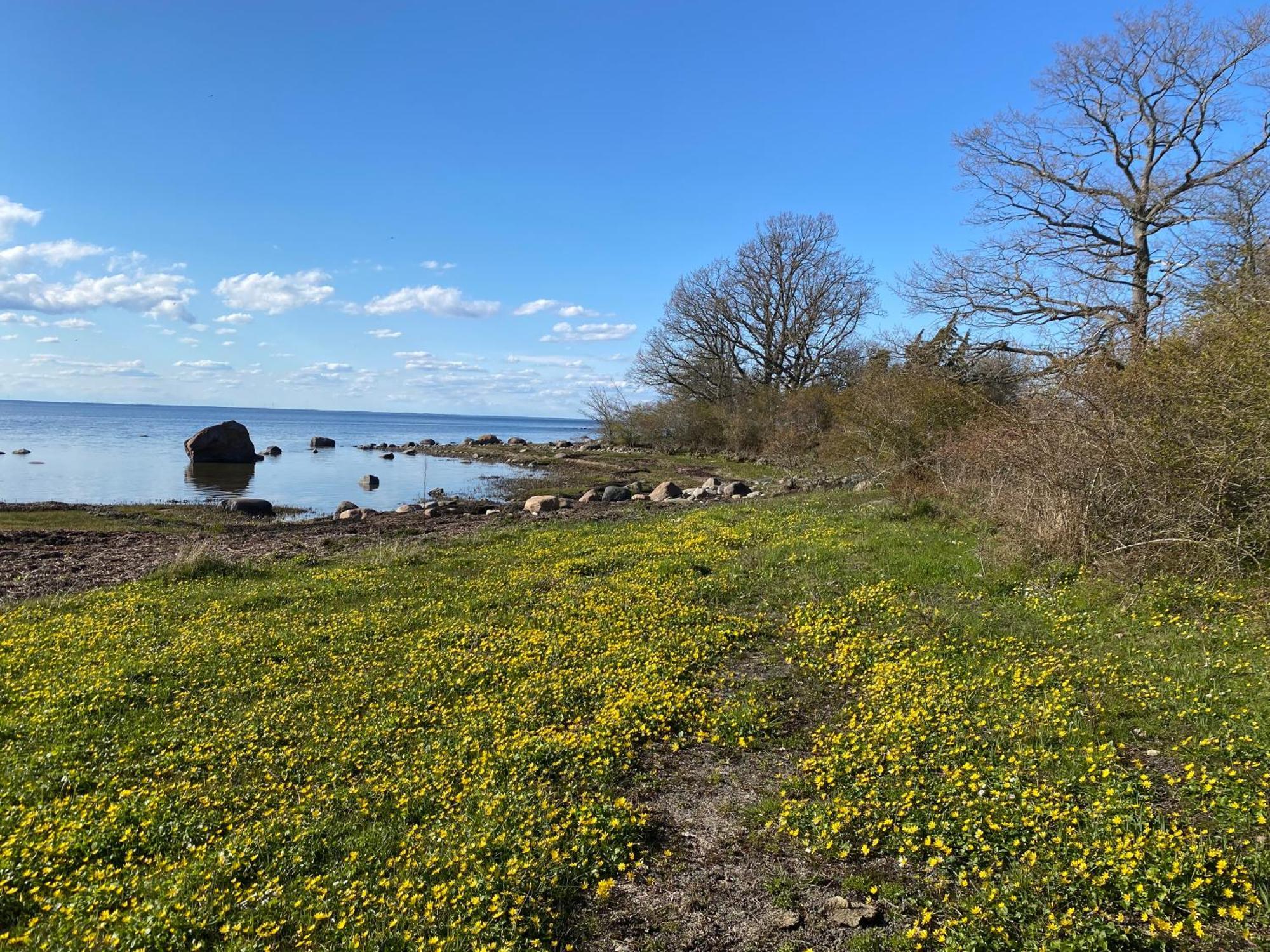 Gard Halltorps Hage Borgholm Bagian luar foto