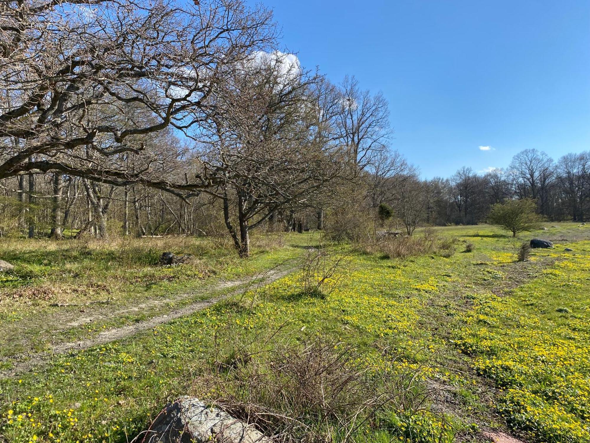 Gard Halltorps Hage Borgholm Bagian luar foto